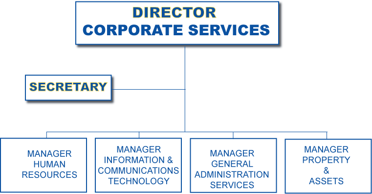 csd structure1